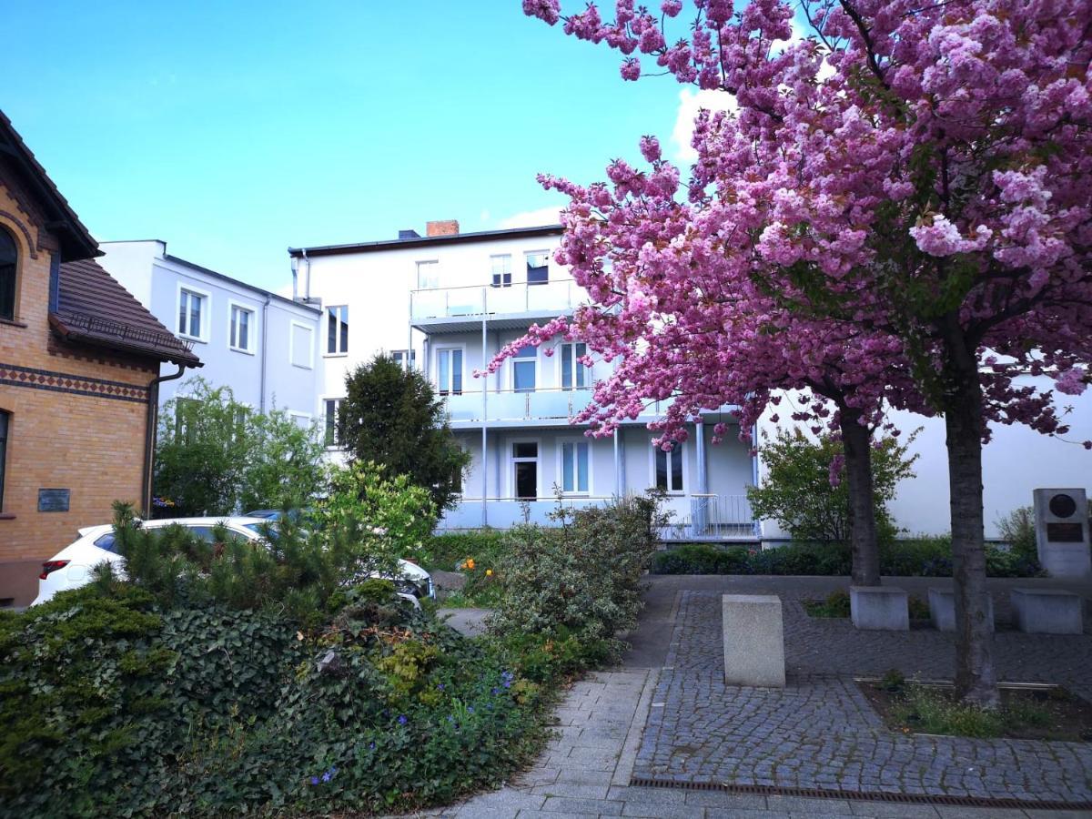 Pb Ferienwohnungen - Fewo 3 - Stilvoll Eingerichtetes Studio Im Herzen Senftenbergs Exterior photo